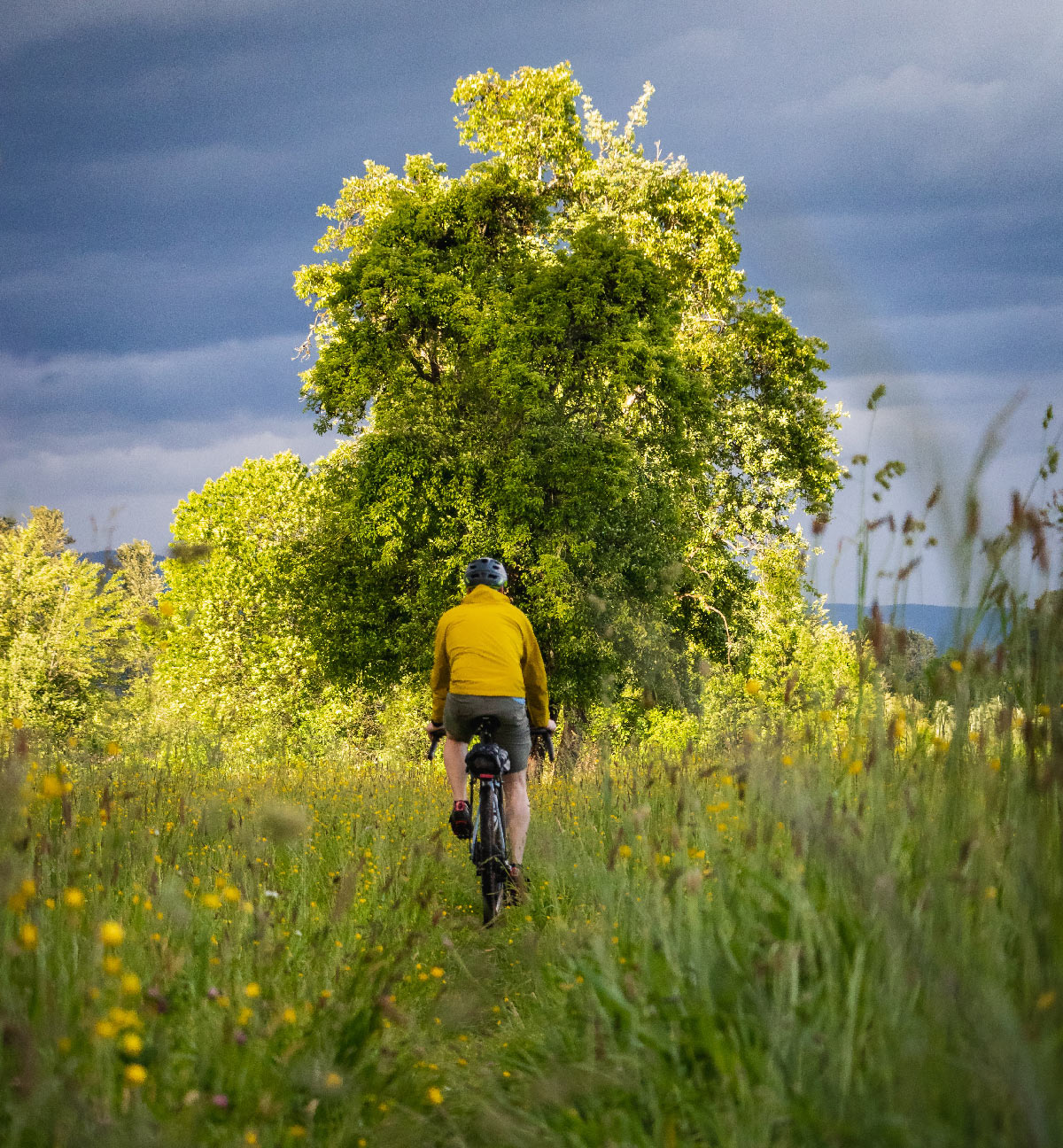Pedal Power: The two-wheeled guide to a UK adventure