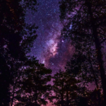 Stargazing at Tudor Farmhouse