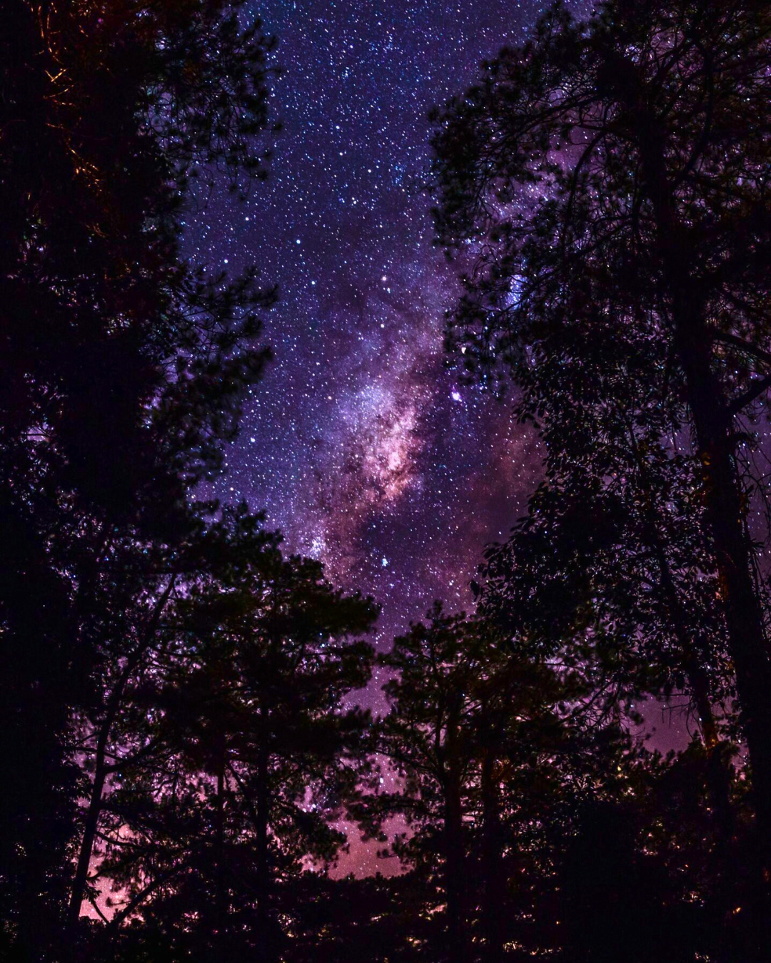 Stargazing at Tudor Farmhouse