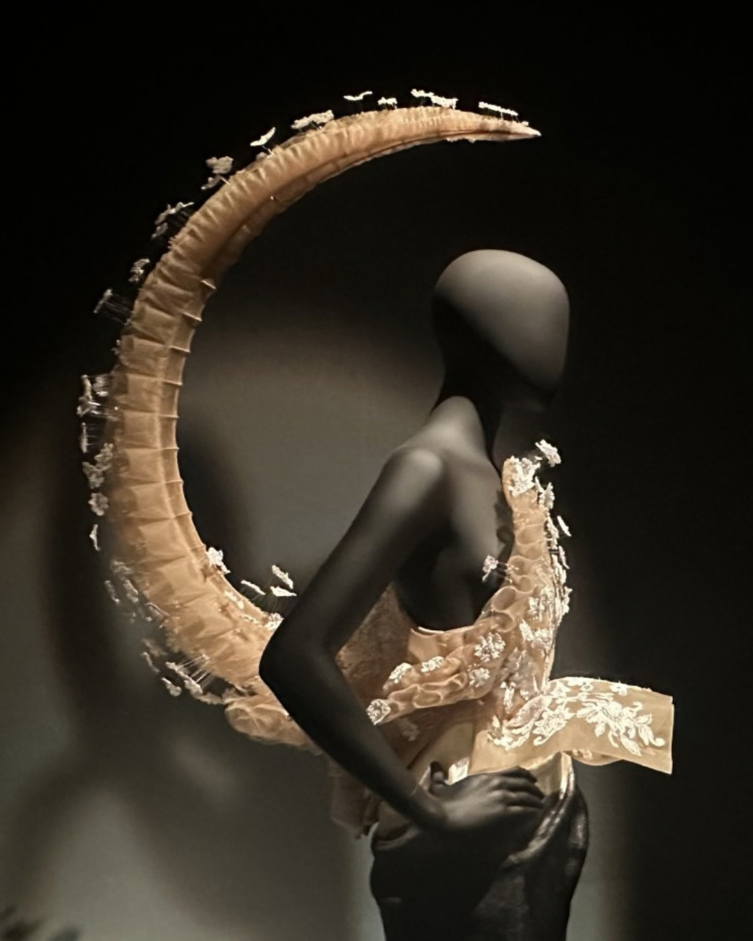 Schiaparelli